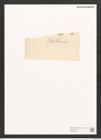 Pleurosigma sp. (de-Toni-Nr.: Genus 13) Zeichnungen Sammlung Grunow (NHMW-BOT-W0369225)